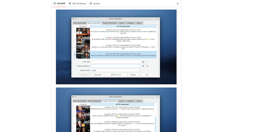 Media Downloader